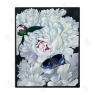 Ann Jasperson | Vintage Peony and Butterfly