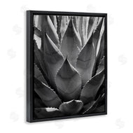 Chip Forelli | Desert Plant Detail