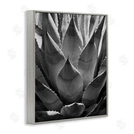 Chip Forelli | Desert Plant Detail