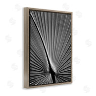 Chip Forelli | Palm Frond Detail