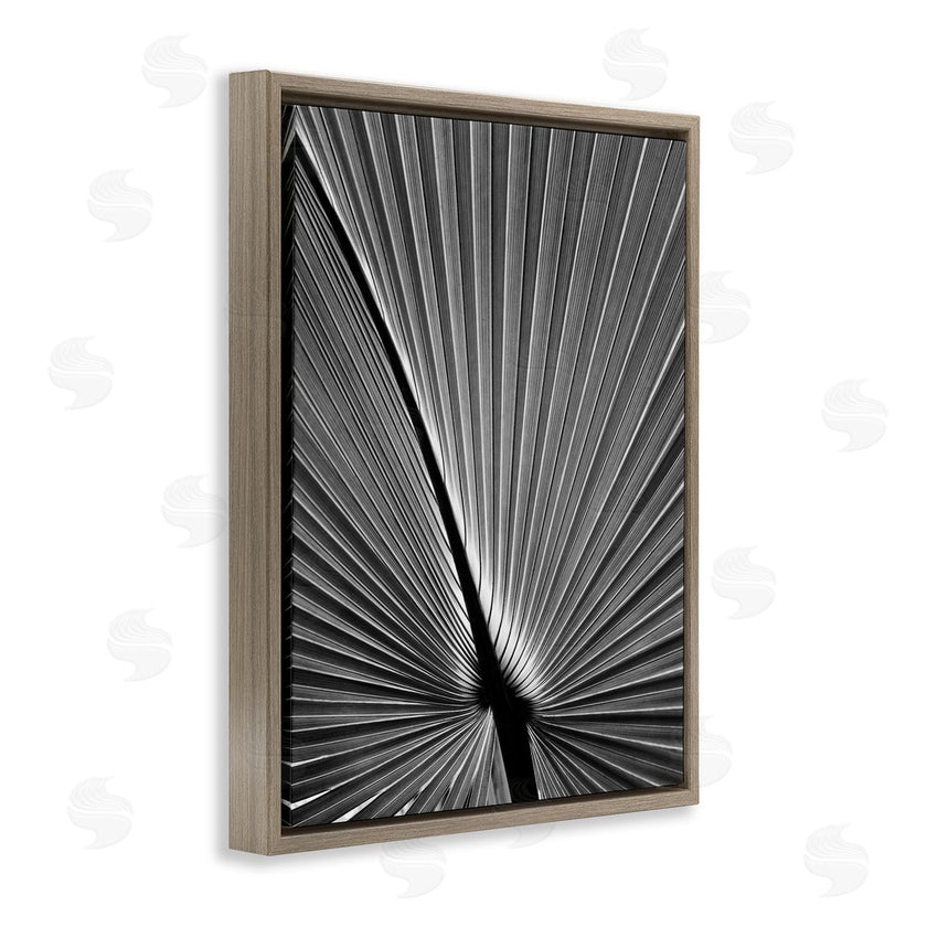 Chip Forelli | Palm Frond Detail