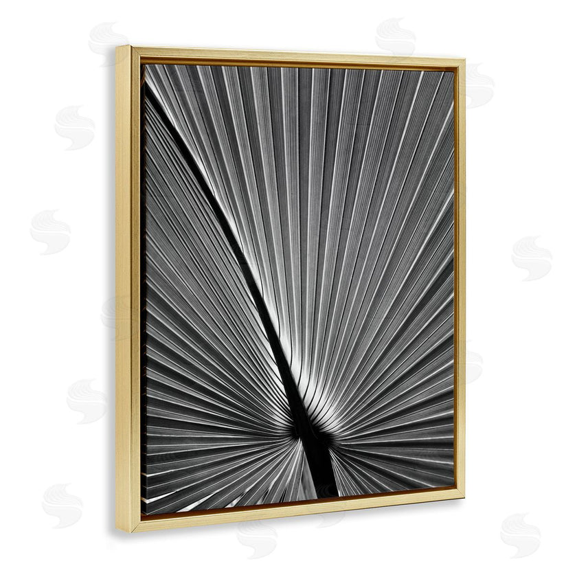 Chip Forelli | Palm Frond Detail