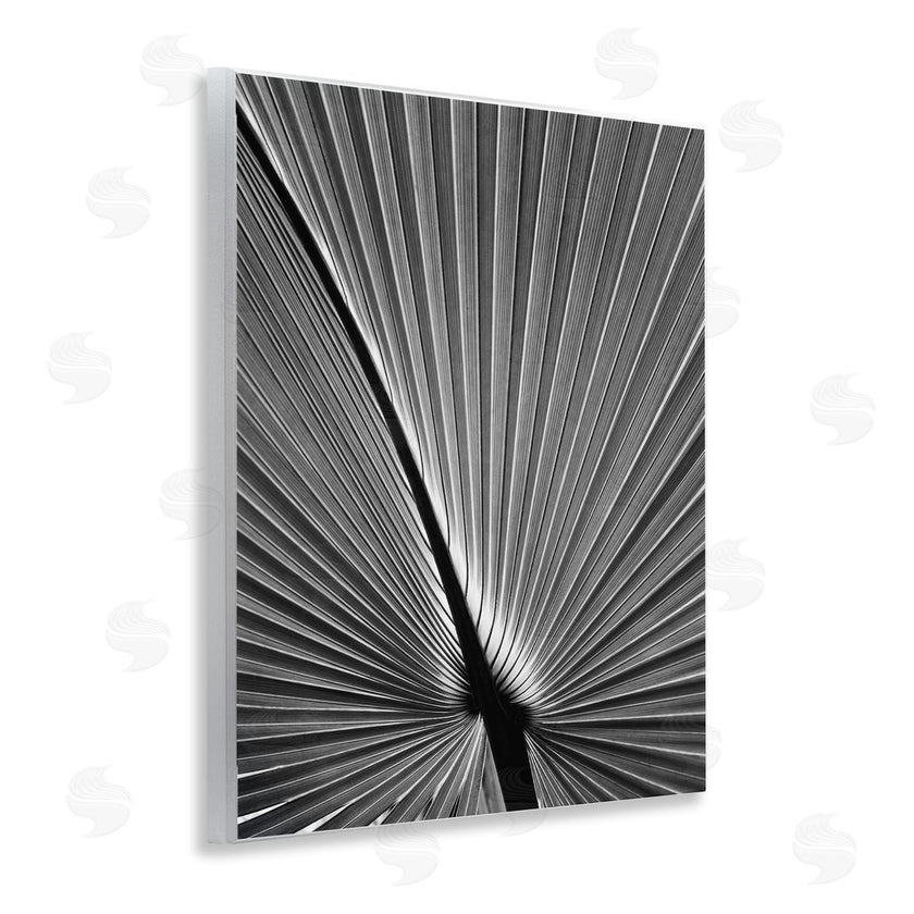 Chip Forelli | Palm Frond Detail