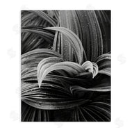 Chip Forelli | Wet Leaves Detail