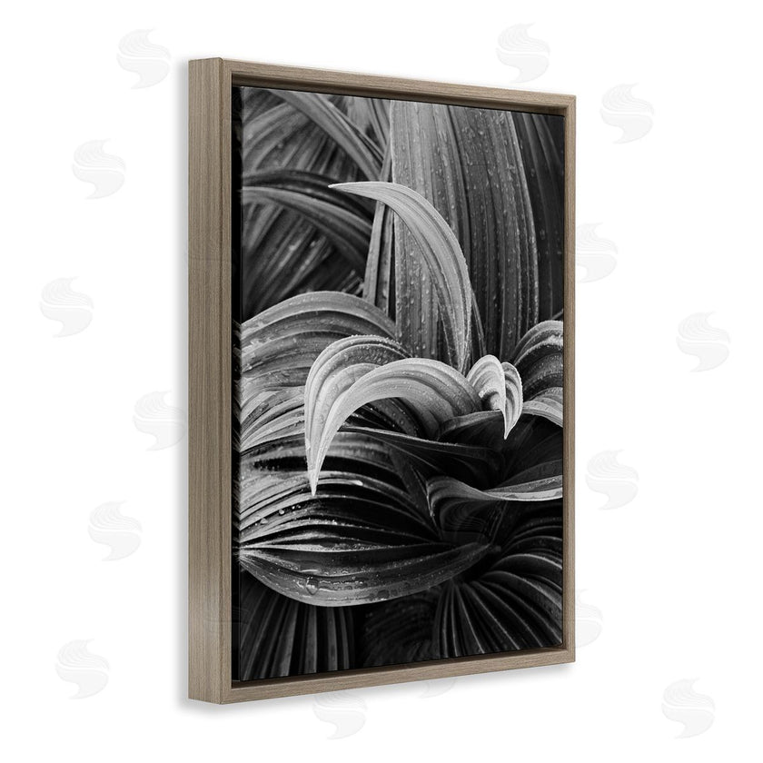 Chip Forelli | Wet Leaves Detail