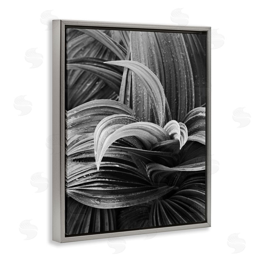 Chip Forelli | Wet Leaves Detail