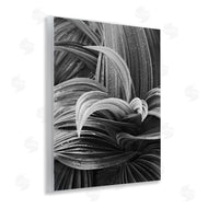Chip Forelli | Wet Leaves Detail