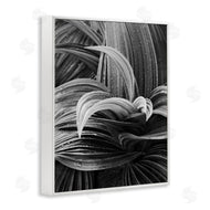 Chip Forelli | Wet Leaves Detail