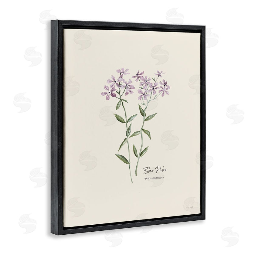 Cindy Jacobs | Country Herb Diagram