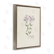 Cindy Jacobs | Country Herb Diagram