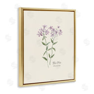 Cindy Jacobs | Country Herb Diagram