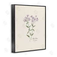 Cindy Jacobs | Country Herb Diagram