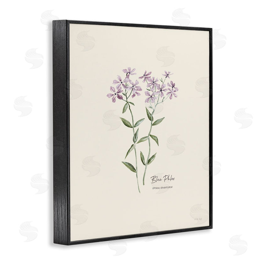 Cindy Jacobs | Country Herb Diagram