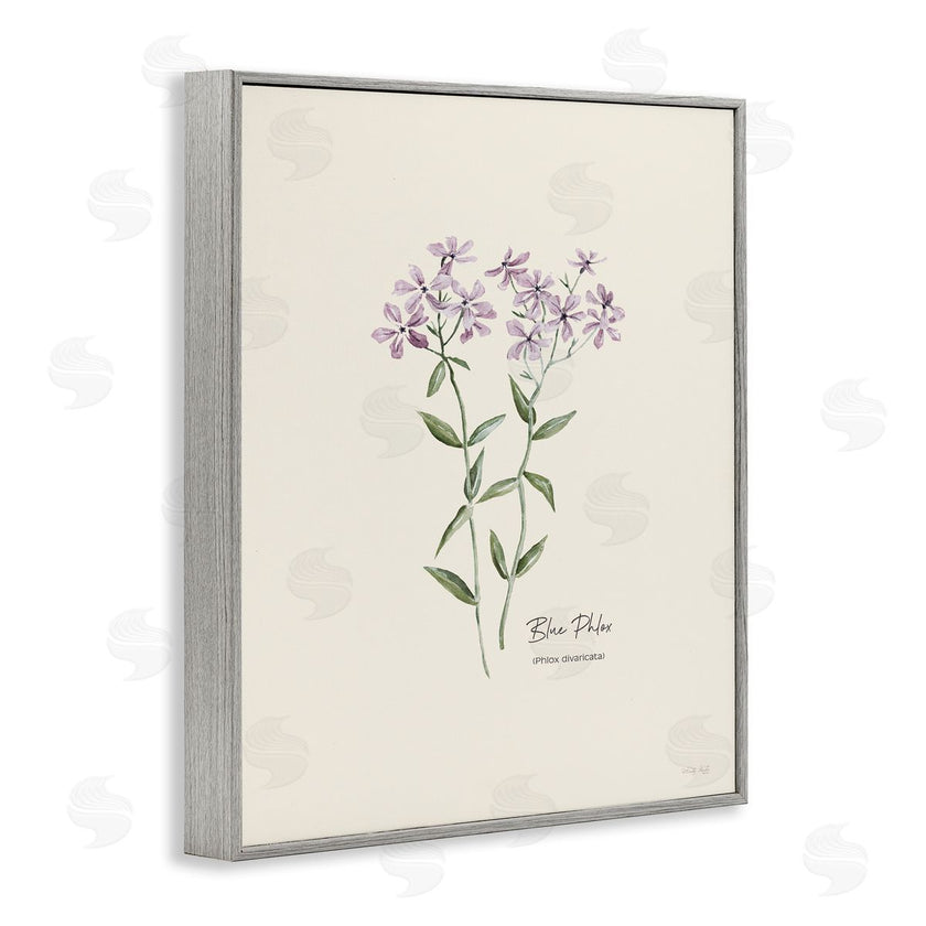Cindy Jacobs | Country Herb Diagram