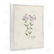 Cindy Jacobs | Country Herb Diagram