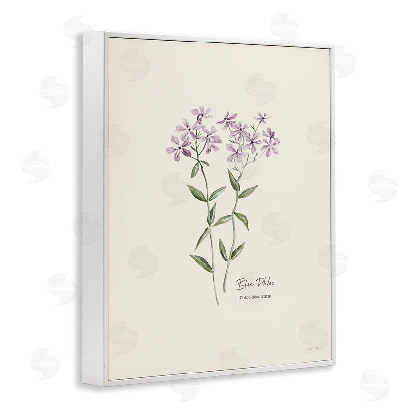 Cindy Jacobs | Country Herb Diagram