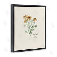 Cindy Jacobs | Black Eyed Susans