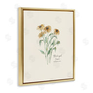 Cindy Jacobs | Black Eyed Susans
