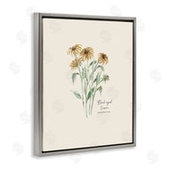 Cindy Jacobs | Black Eyed Susans