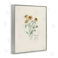 Cindy Jacobs | Black Eyed Susans