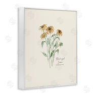 Cindy Jacobs | Black Eyed Susans