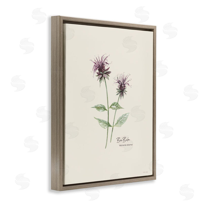 Cindy Jacobs | Bee Balm Herb