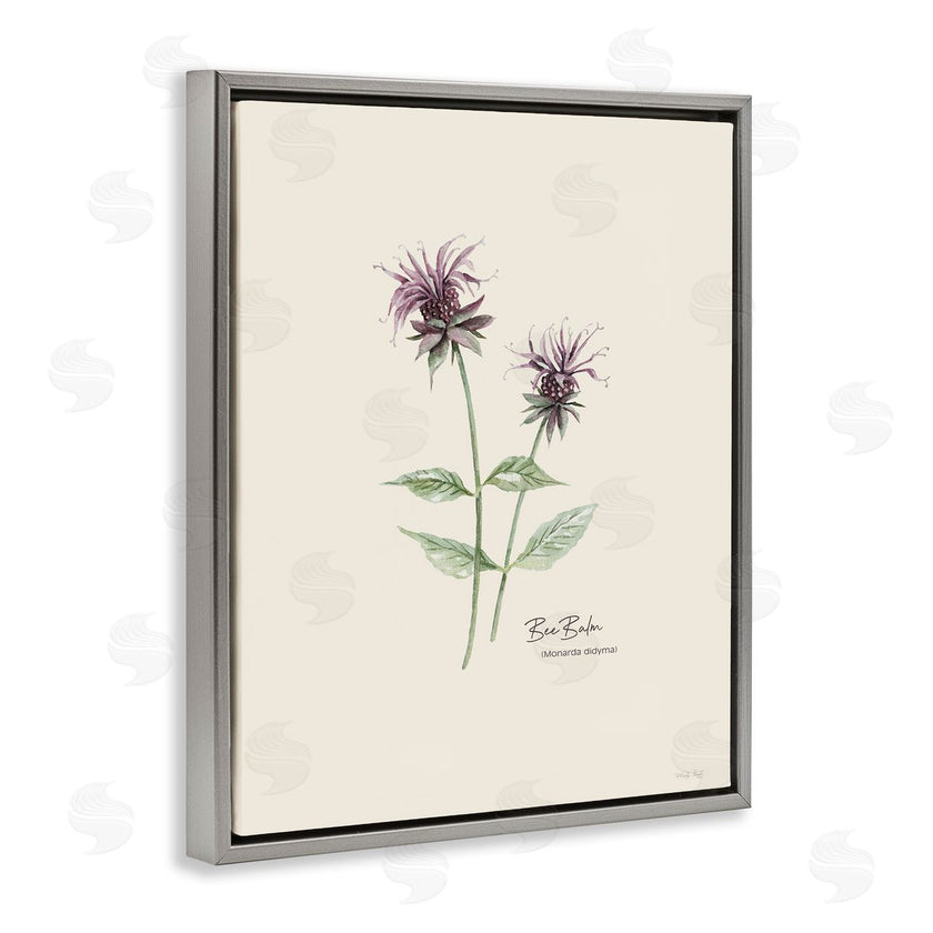 Cindy Jacobs | Bee Balm Herb