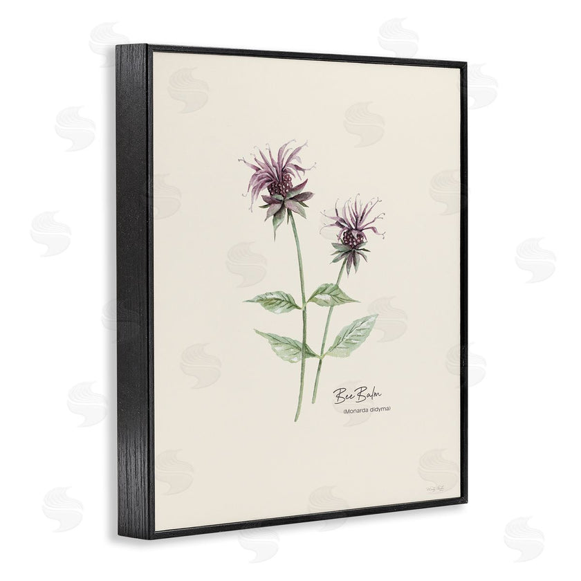Cindy Jacobs | Bee Balm Herb
