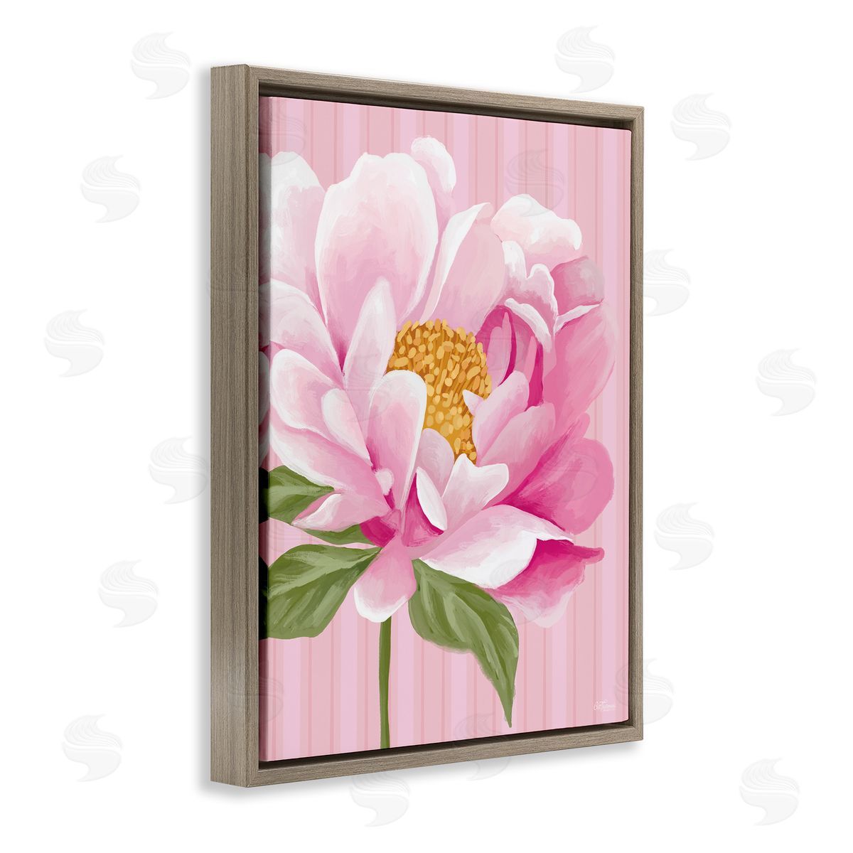 Pink Carnation Bloom Brown Floating Frame Canvas Wall Art, Home Decor by Cat Thurman Designs