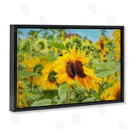 Carrie Ann Grippo-Pike | Sunflower Field Photography
