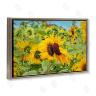 Carrie Ann Grippo-Pike | Sunflower Field Photography
