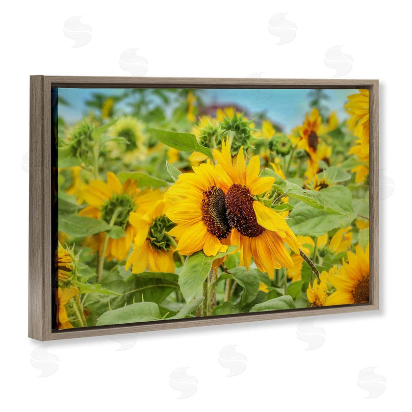 Carrie Ann Grippo-Pike | Sunflower Field Photography