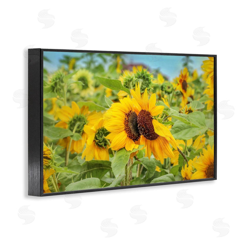 Carrie Ann Grippo-Pike | Sunflower Field Photography
