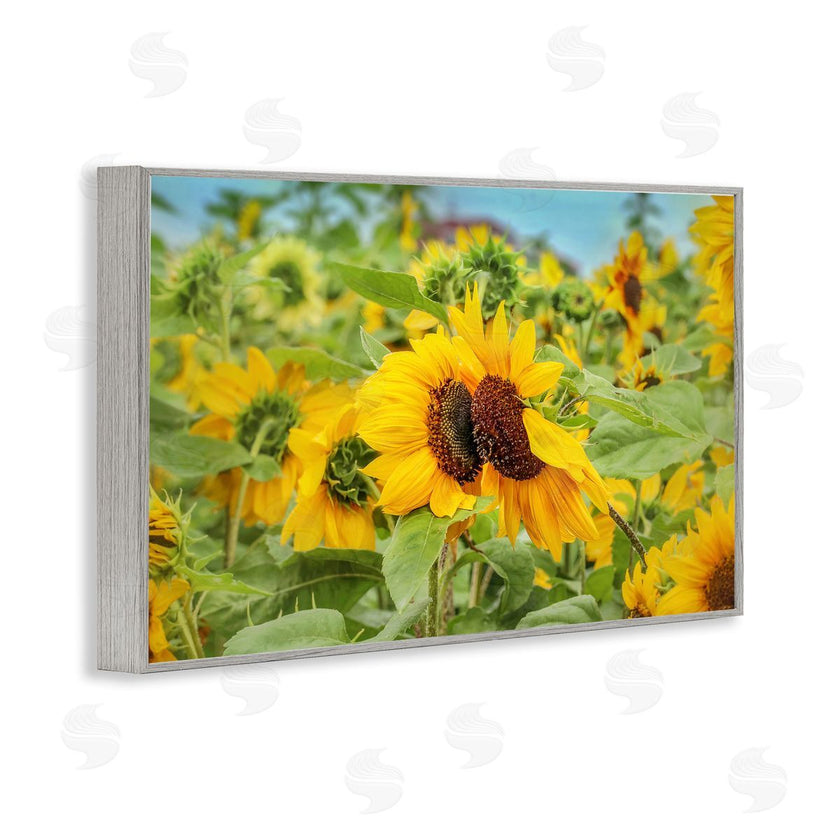 Carrie Ann Grippo-Pike | Sunflower Field Photography