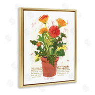 Nancy Overton | Potted Gerbera Daisies
