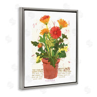 Nancy Overton | Potted Gerbera Daisies