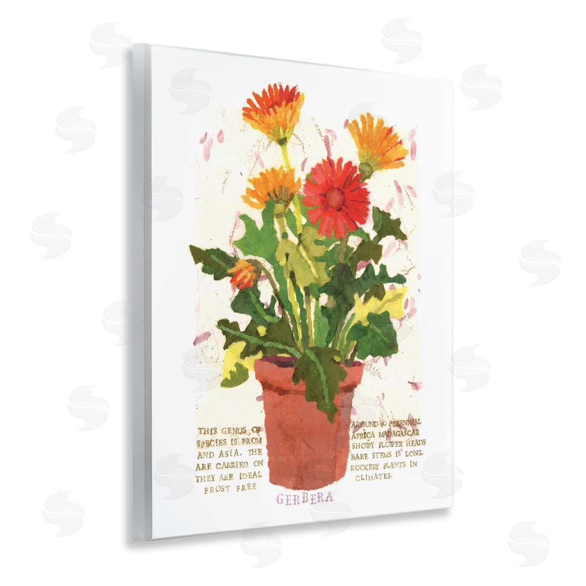 Potted Gerbera Daisies Wood Plaque Wall Art, Home Decor by Nancy Overton