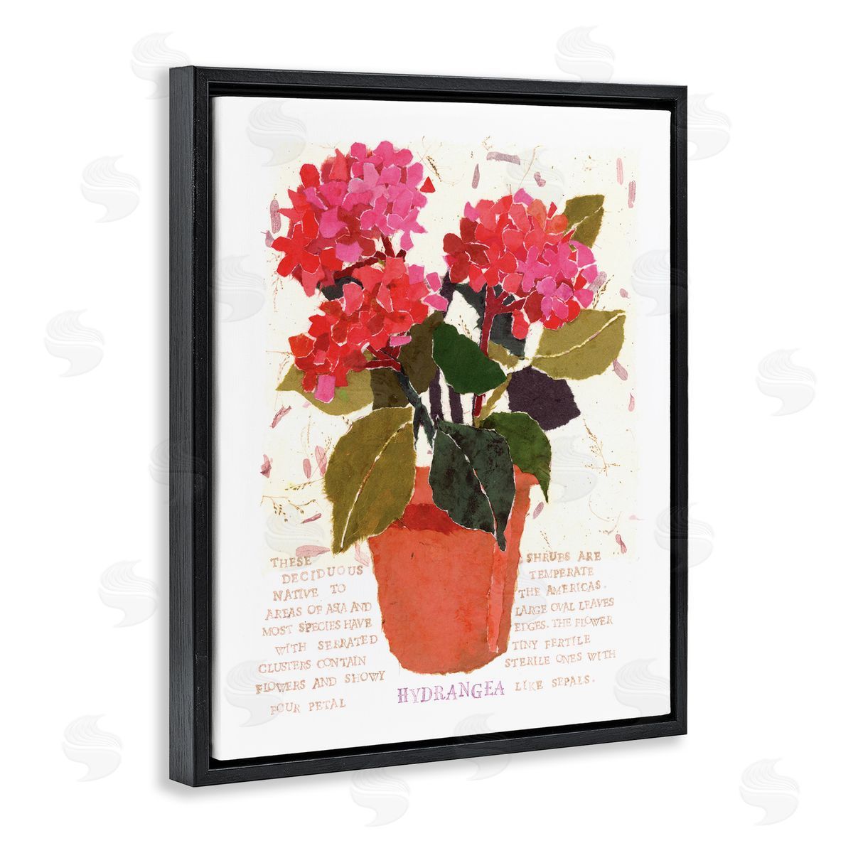 Bold Red Hydrangea Black Floating Frame Canvas Wall Art, Home Decor by Nancy Overton