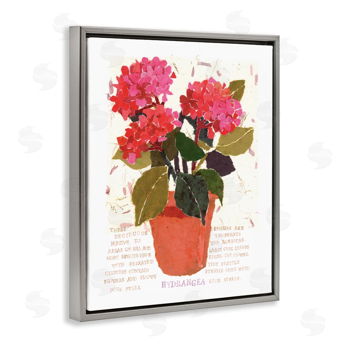 Bold Red Hydrangea Grey Floating Frame Canvas Wall Art, Home Decor by Nancy Overton
