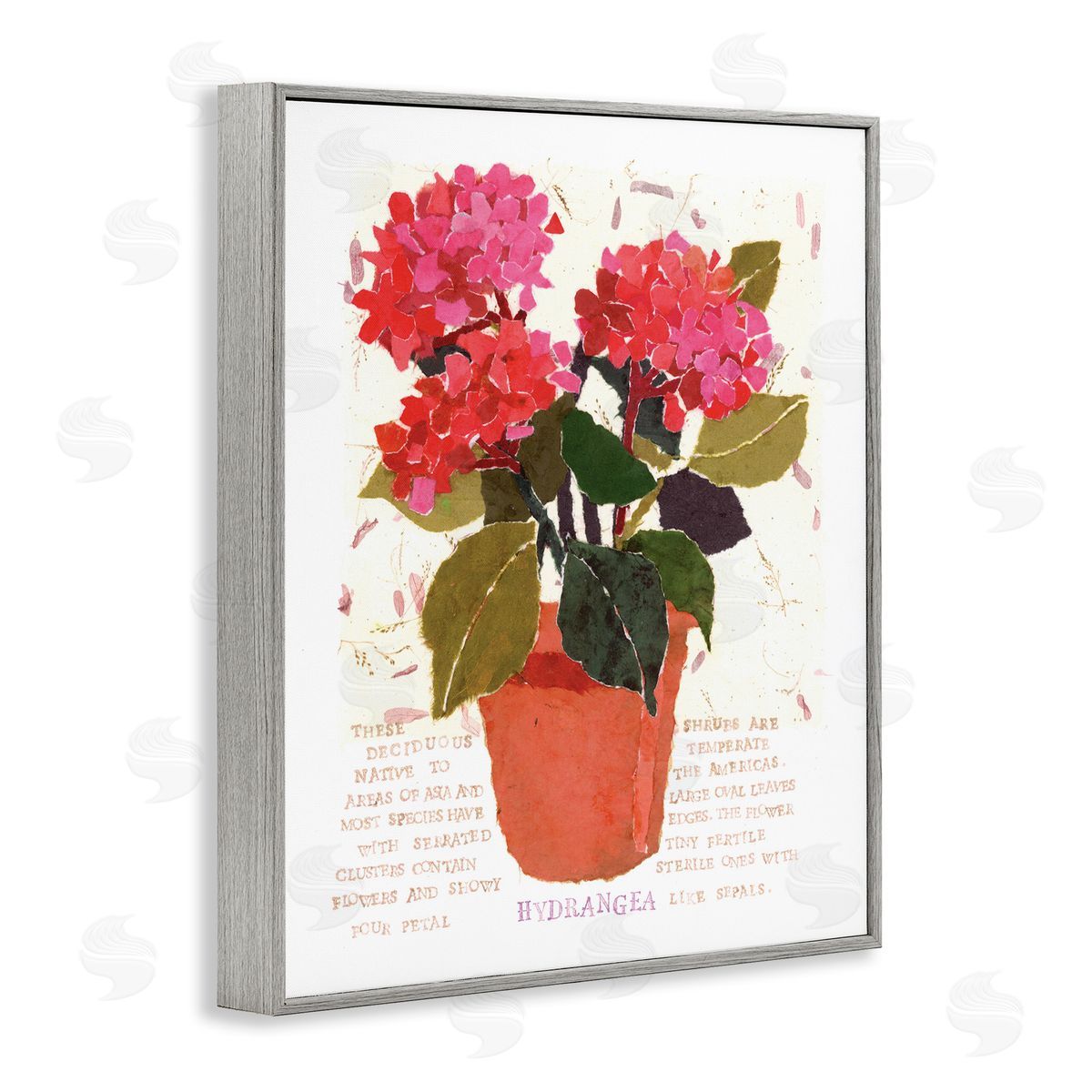 Bold Red Hydrangea Grey Frame Print Wall Art, Home Decor by Nancy Overton