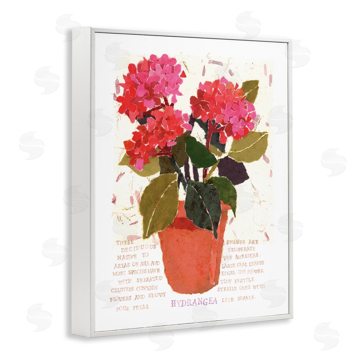 Bold Red Hydrangea White Frame Print Wall Art, Home Decor by Nancy Overton
