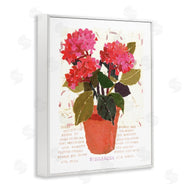 Nancy Overton | Bold Red Hydrangea