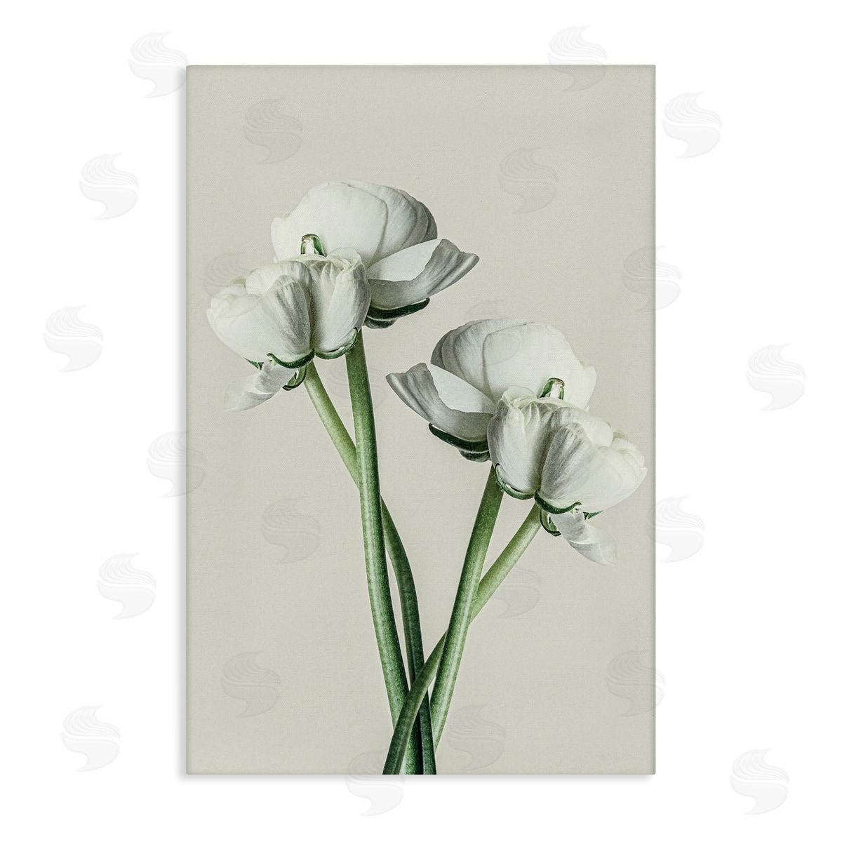 White Flower Bundle Canvas Wall Art, Home Decor by Incado