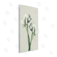Incado | White Flower Bundle