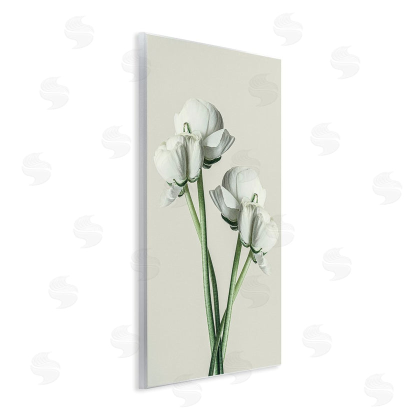 Incado | White Flower Bundle