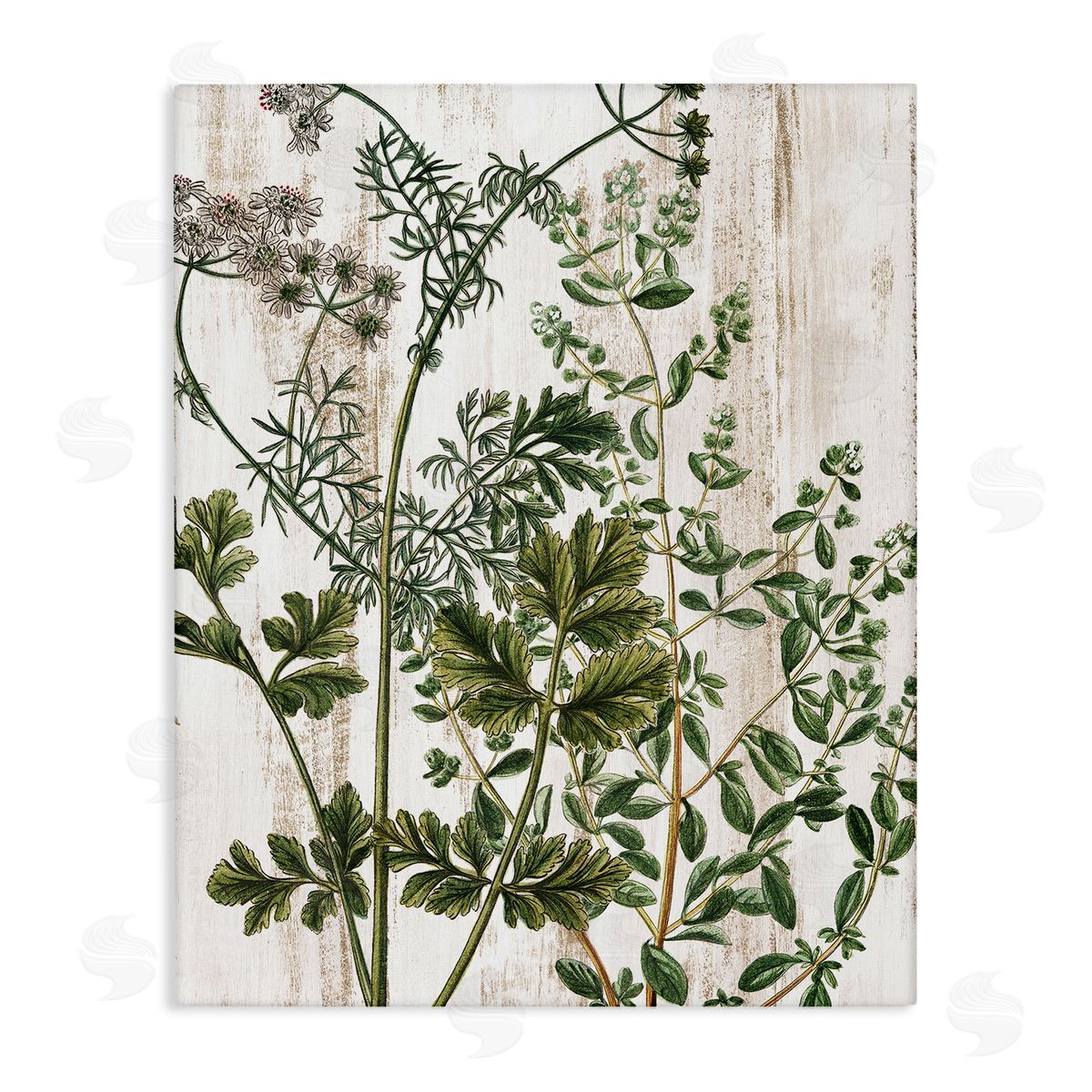 Botanical Greenery Pattern Canvas Wall Art, Home Decor by Kim Allen
