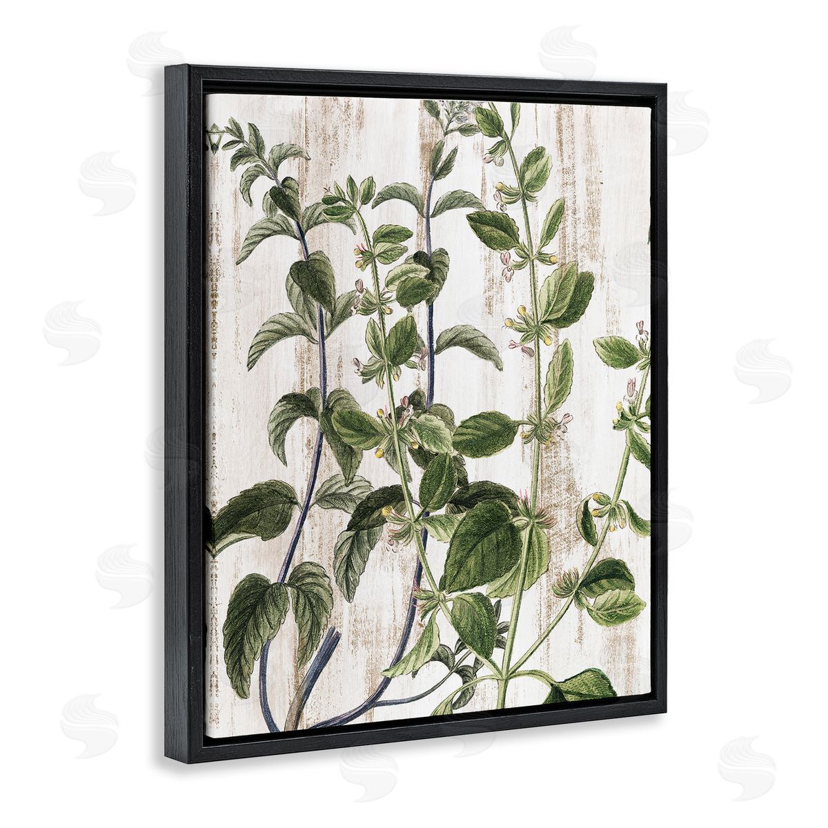 Rustic Botanical Vines Black Floating Frame Canvas Wall Art, Home Decor by Kim Allen