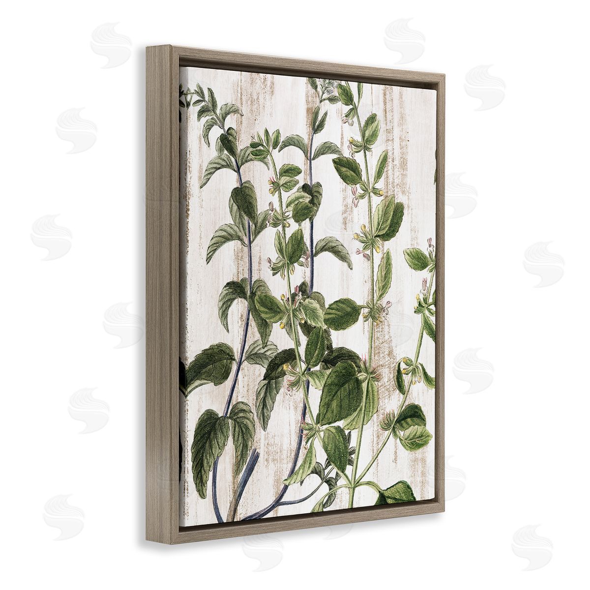 Rustic Botanical Vines Brown Floating Frame Canvas Wall Art, Home Decor by Kim Allen