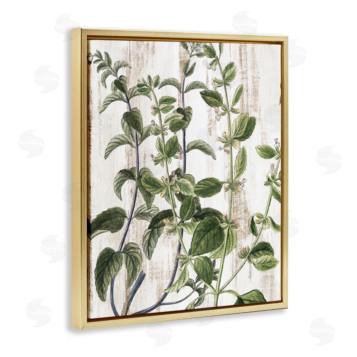 Rustic Botanical Vines Gold Floating Frame Canvas Wall Art, Home Decor by Kim Allen