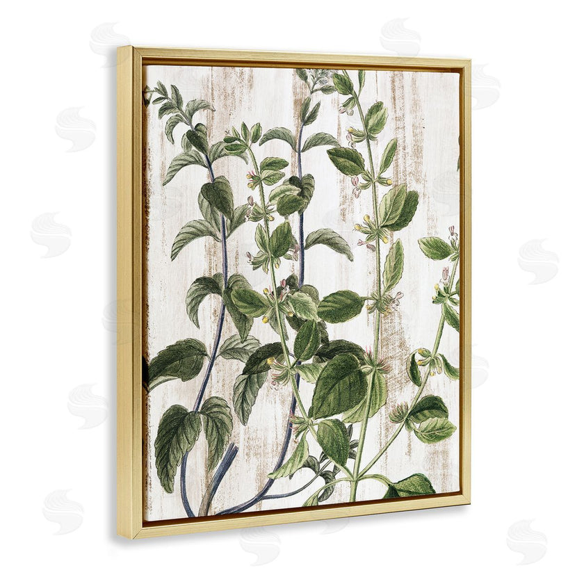 Kim Allen | Rustic Botanical Vines